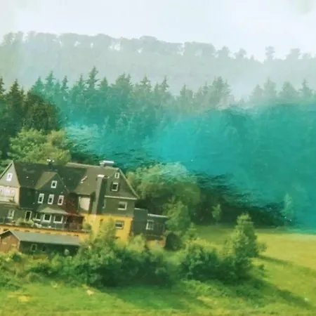 Grosses Landreihenhaus Mit Panoramablick * Winterberg