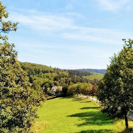 Grosses Landreihenhaus Mit Panoramablick * Winterberg